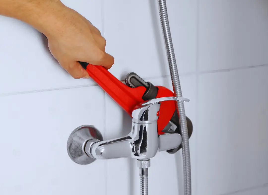 Mitigeur Thermostatique douche Treillières