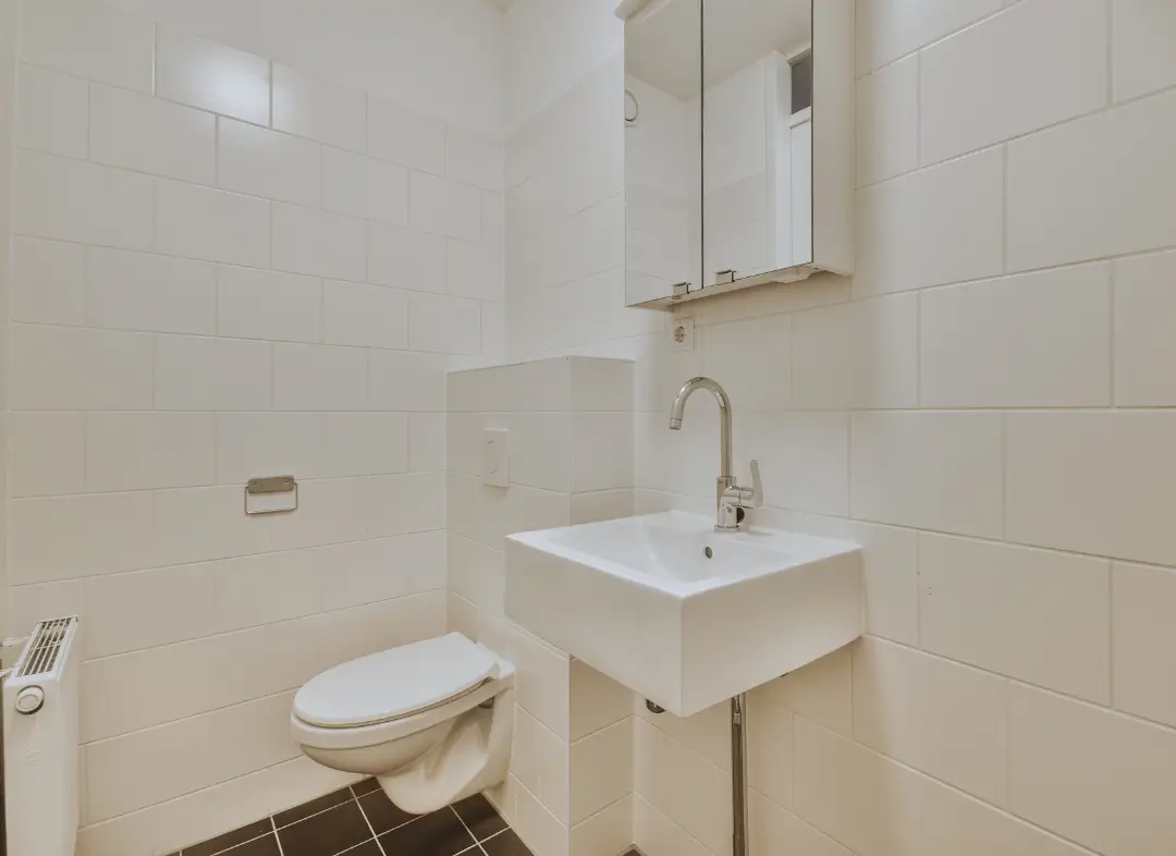 Pose WC Suspendu Treillières